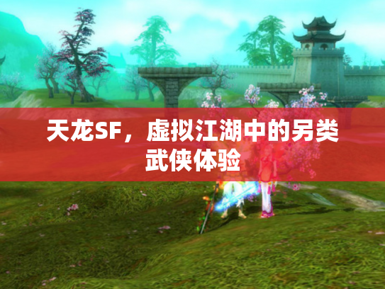 天龙SF，虚拟江湖中的另类武侠体验