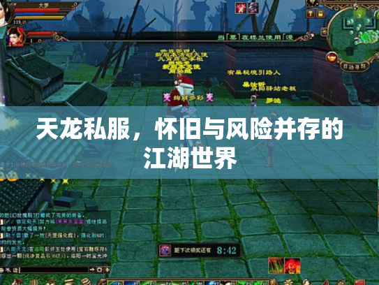 天龙私服，怀旧与风险并存的江湖世界