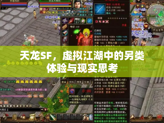天龙SF，虚拟江湖中的另类体验与现实思考