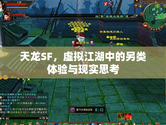 天龙SF，虚拟江湖中的另类体验与现实思考