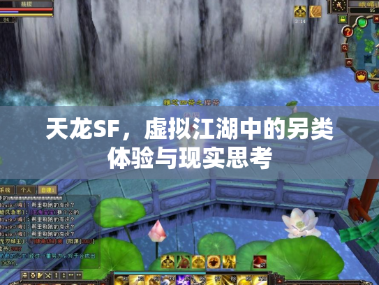 天龙SF，虚拟江湖中的另类体验与现实思考