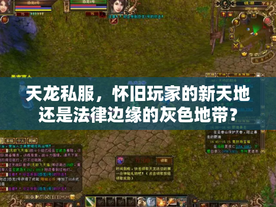 天龙私服，怀旧玩家的新天地还是法律边缘的灰色地带？