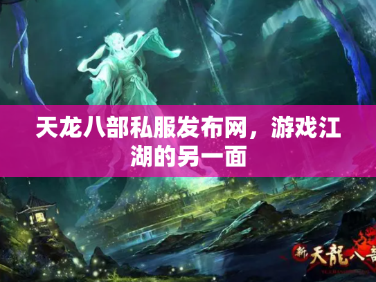 天龙八部私服发布网，游戏江湖的另一面