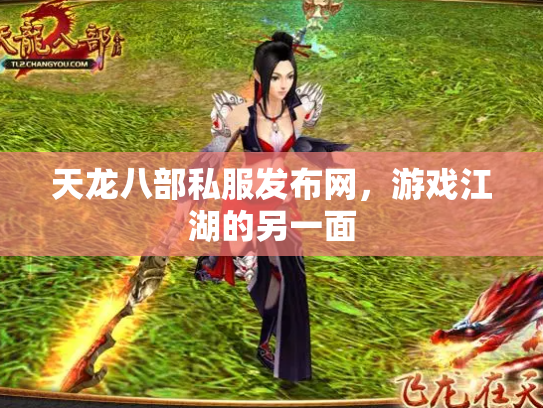 天龙八部私服发布网，游戏江湖的另一面