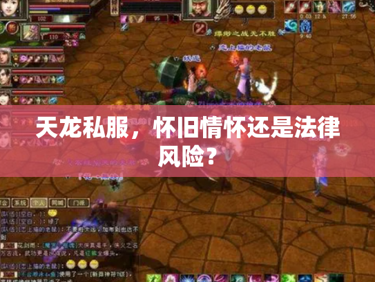 天龙私服，怀旧情怀还是法律风险？