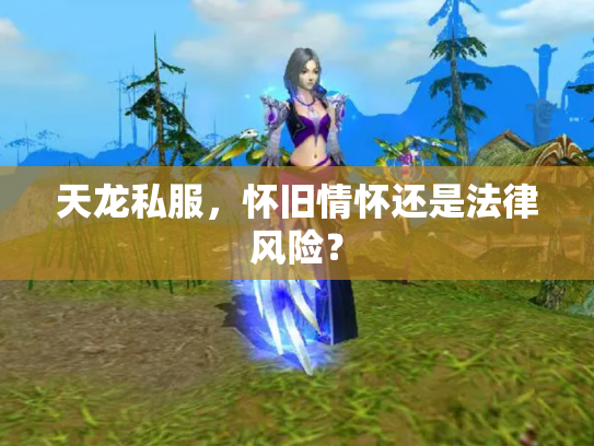 天龙私服，怀旧情怀还是法律风险？