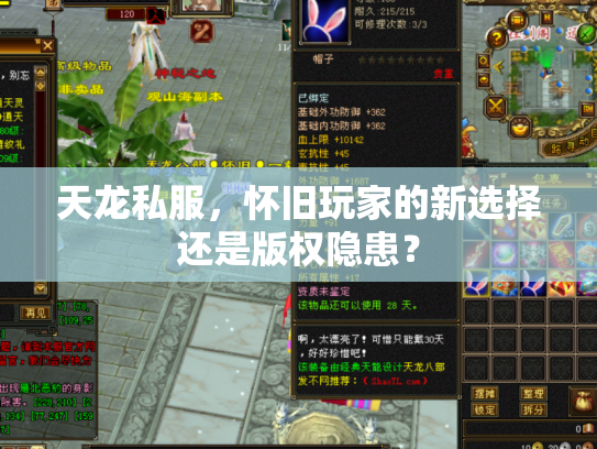 天龙私服，怀旧玩家的新选择还是版权隐患？