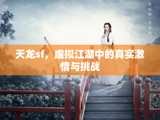 天龙sf，虚拟江湖中的真实激情与挑战