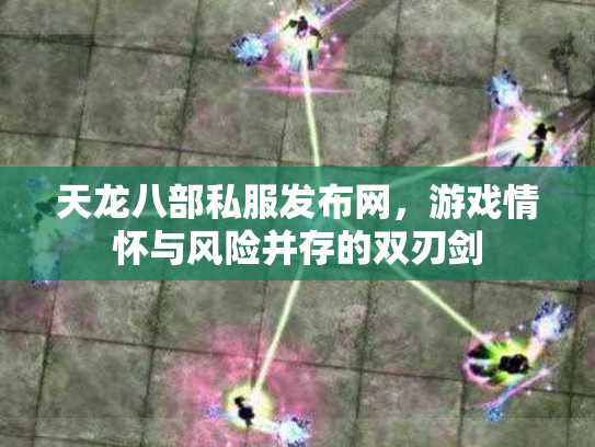 天龙八部私服发布网，游戏情怀与风险并存的双刃剑