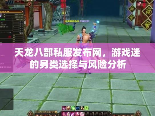天龙八部私服发布网，游戏迷的另类选择与风险分析