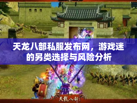 天龙八部私服发布网，游戏迷的另类选择与风险分析