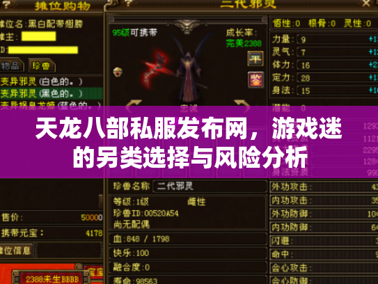 天龙八部私服发布网，游戏迷的另类选择与风险分析