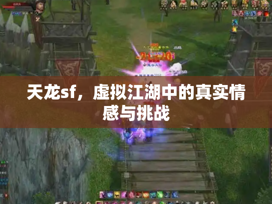 天龙sf，虚拟江湖中的真实情感与挑战