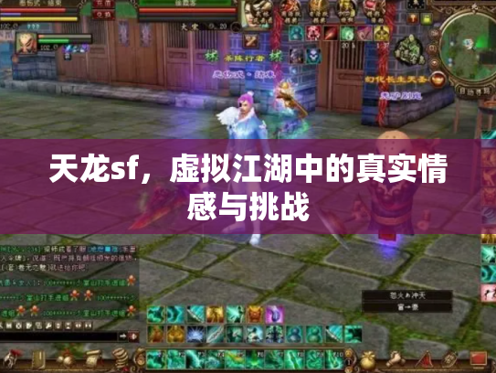 天龙sf，虚拟江湖中的真实情感与挑战