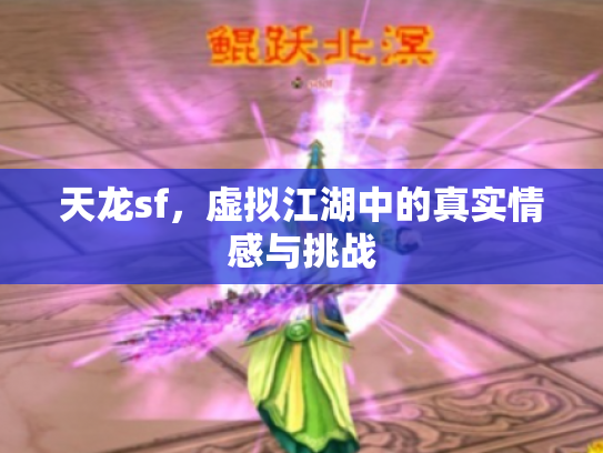 天龙sf，虚拟江湖中的真实情感与挑战