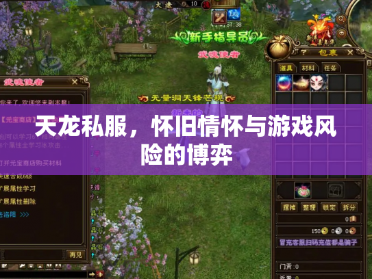 天龙私服，怀旧情怀与游戏风险的博弈