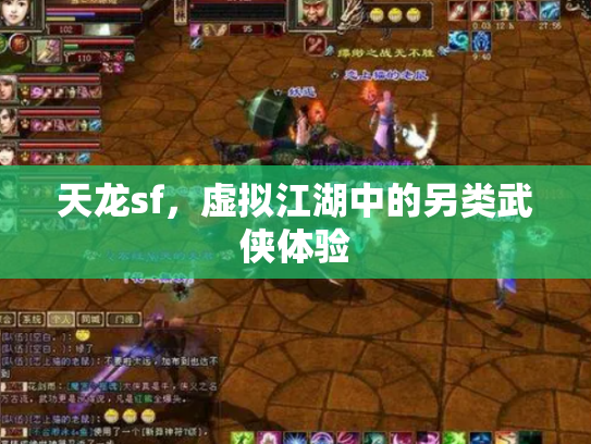 天龙sf，虚拟江湖中的另类武侠体验