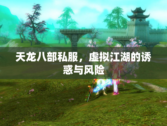 天龙八部私服，虚拟江湖的诱惑与风险