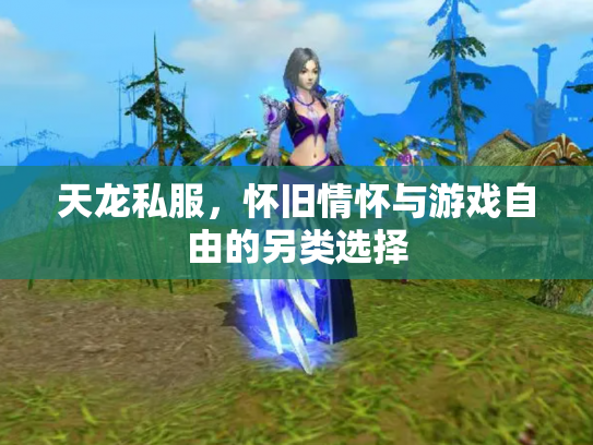 天龙私服，怀旧情怀与游戏自由的另类选择