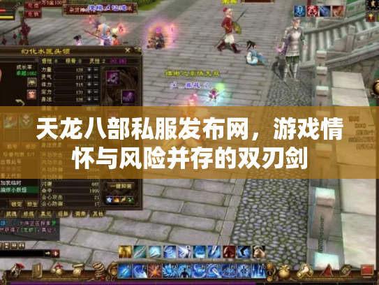 天龙八部私服发布网，游戏情怀与风险并存的双刃剑