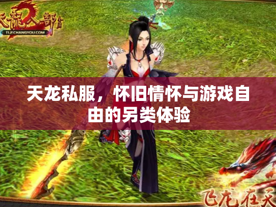 天龙私服，怀旧情怀与游戏自由的另类体验