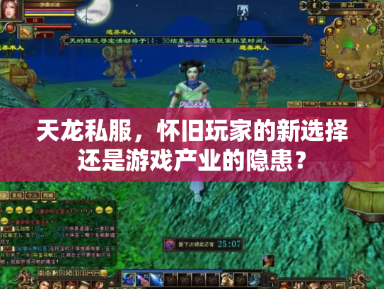 天龙私服，怀旧玩家的新选择还是游戏产业的隐患？