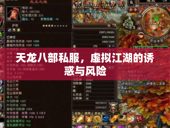天龙八部私服，虚拟江湖的诱惑与风险