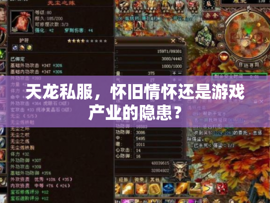 天龙私服，怀旧情怀还是游戏产业的隐患？