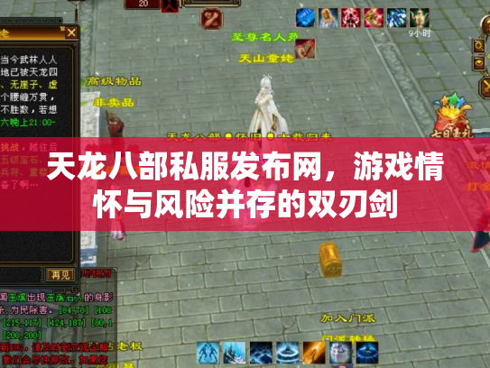 天龙八部私服发布网，游戏情怀与风险并存的双刃剑