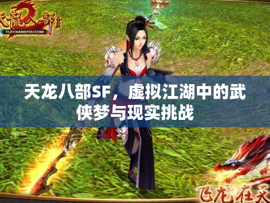 天龙八部SF，虚拟江湖中的武侠梦与现实挑战