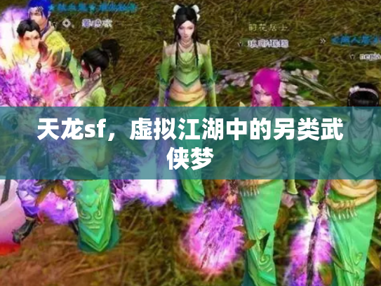 天龙sf，虚拟江湖中的另类武侠梦