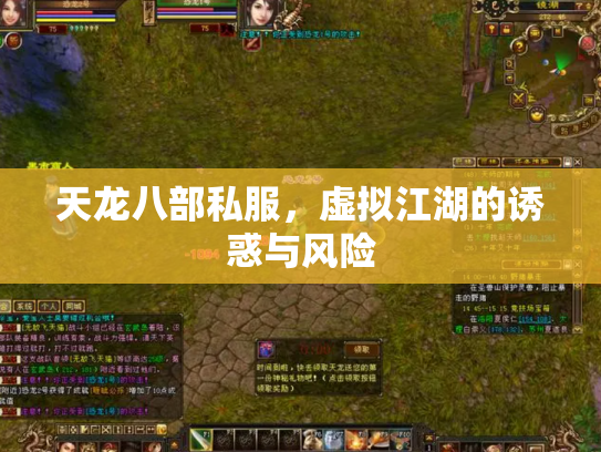 天龙八部私服，虚拟江湖的诱惑与风险