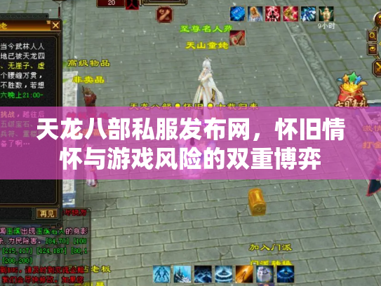 天龙八部私服发布网，怀旧情怀与游戏风险的双重博弈