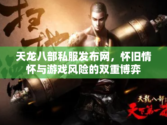 天龙八部私服发布网，怀旧情怀与游戏风险的双重博弈
