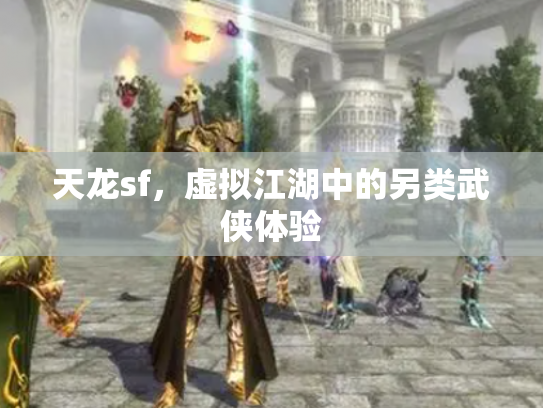 天龙sf，虚拟江湖中的另类武侠体验