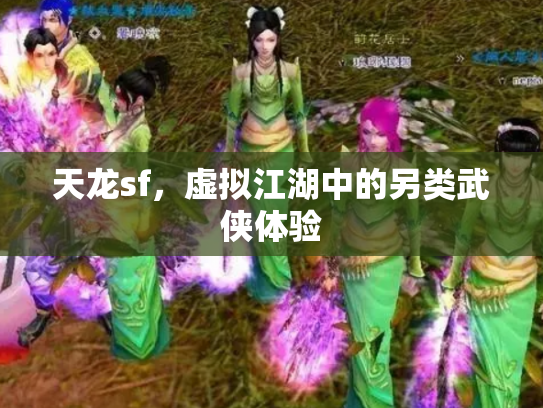 天龙sf，虚拟江湖中的另类武侠体验