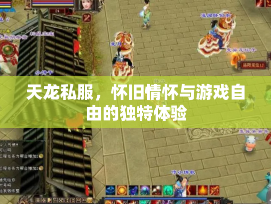 天龙私服，怀旧情怀与游戏自由的独特体验