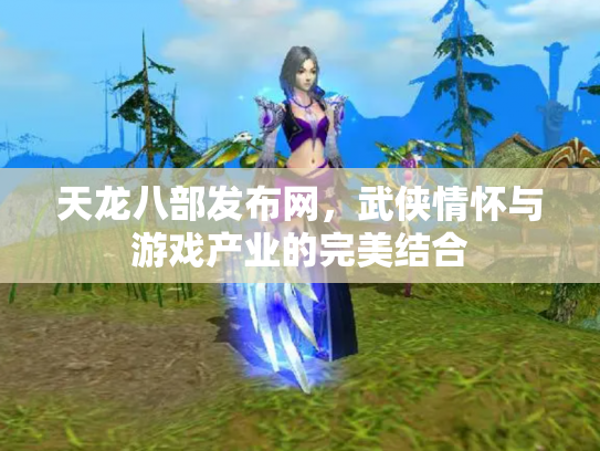 天龙八部发布网，武侠情怀与游戏产业的完美结合