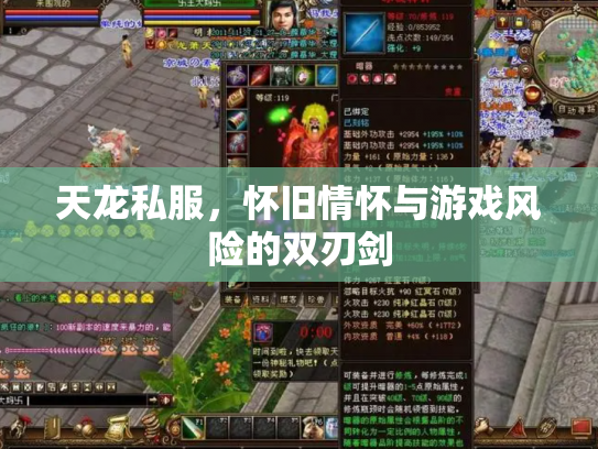 天龙私服，怀旧情怀与游戏风险的双刃剑