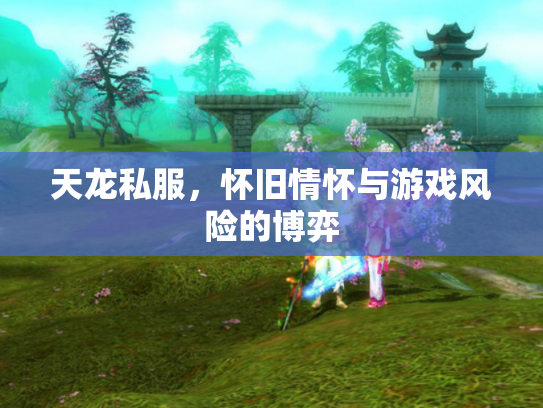 天龙私服，怀旧情怀与游戏风险的博弈