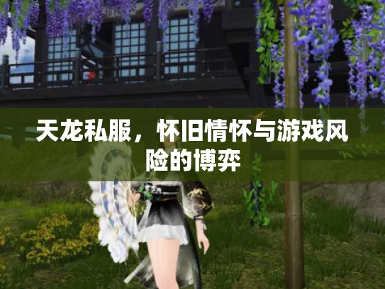 天龙私服，怀旧情怀与游戏风险的博弈