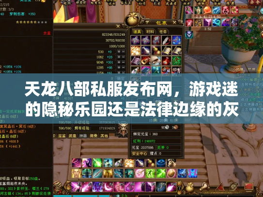 天龙八部私服发布网，游戏迷的隐秘乐园还是法律边缘的灰色地带？