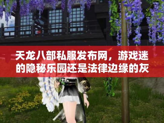 天龙八部私服发布网，游戏迷的隐秘乐园还是法律边缘的灰色地带？