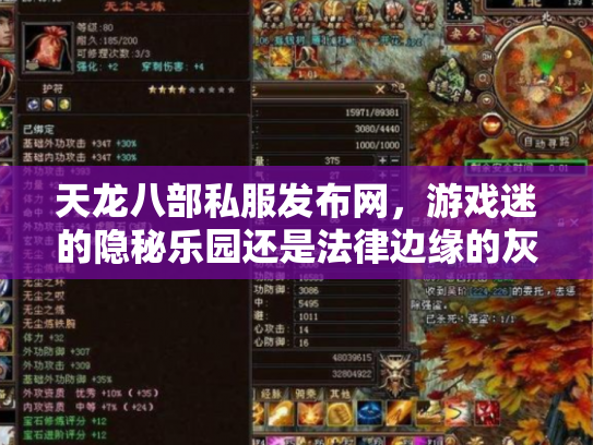 天龙八部私服发布网，游戏迷的隐秘乐园还是法律边缘的灰色地带？