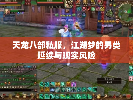 天龙八部私服，江湖梦的另类延续与现实风险