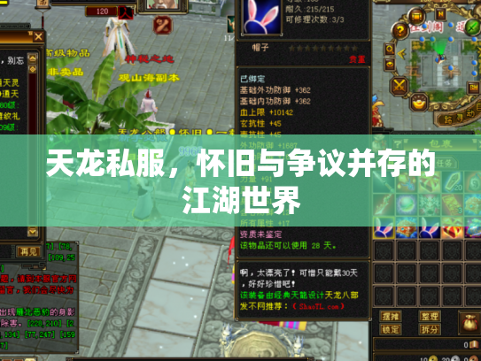 天龙私服，怀旧与争议并存的江湖世界