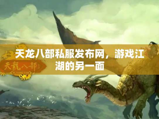 天龙八部私服发布网，游戏江湖的另一面