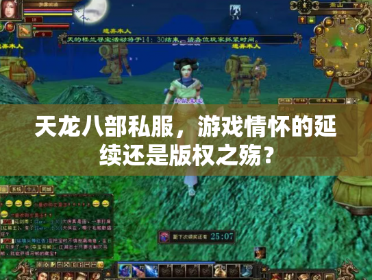 天龙八部私服，游戏情怀的延续还是版权之殇？