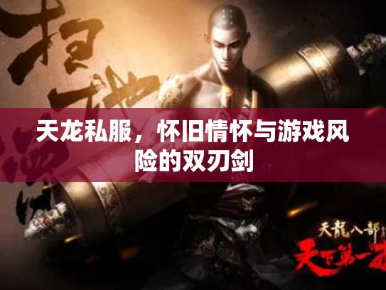 天龙私服，怀旧情怀与游戏风险的双刃剑