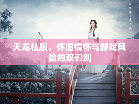 天龙私服，怀旧情怀与游戏风险的双刃剑